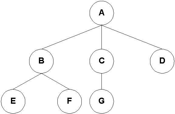 Rooted Tree of Degree 3