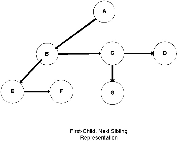 Child - Sibling Tree