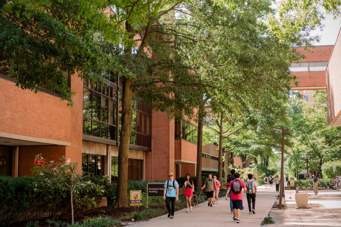 Multiple open rank, tenure-track faculty; lecturer; & professor of the practice positions