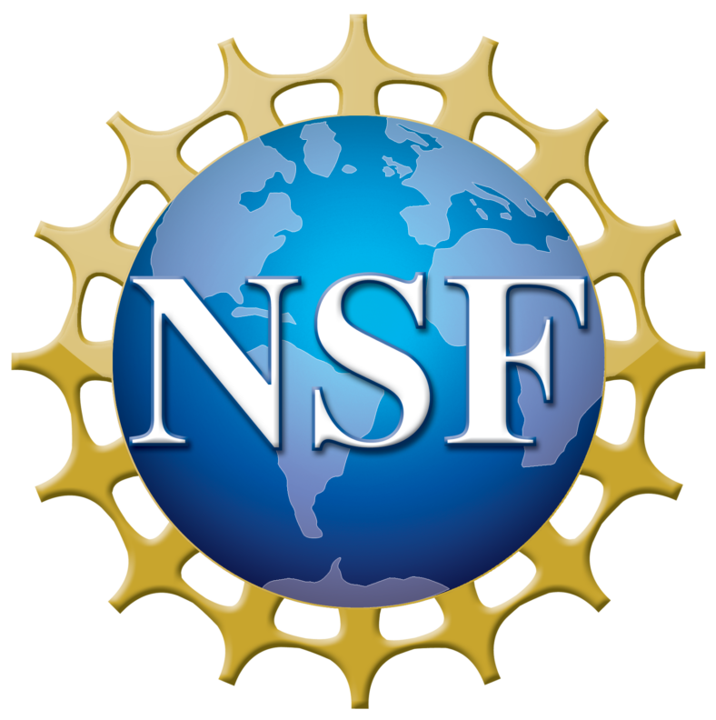 Prof. Yus Receives Prestigious NSF CAREER Award