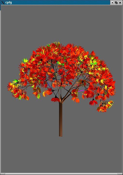 Tree Showing Color Mapped to Education for Census Data
